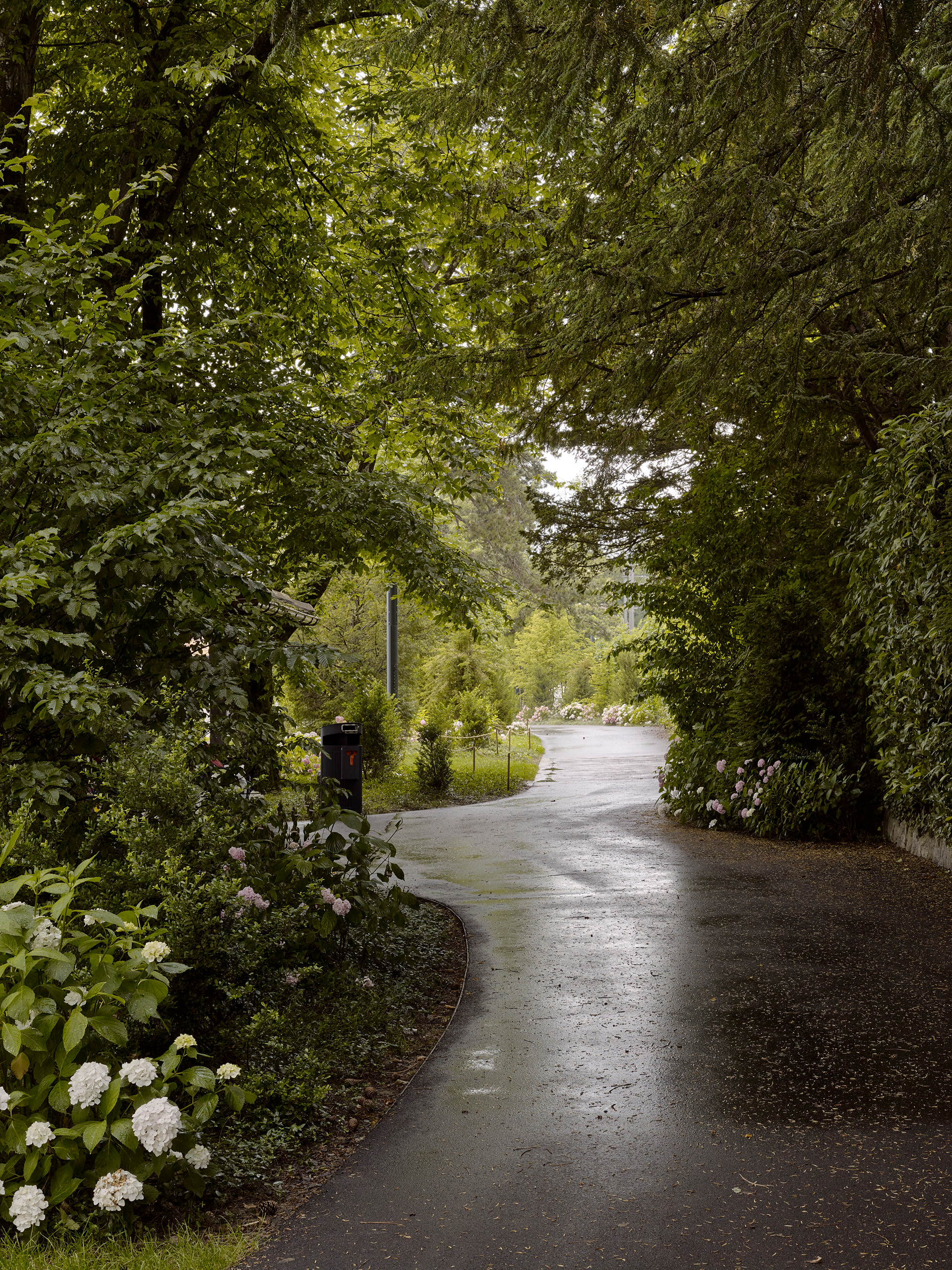 Ahp0013 alpa 103074 C